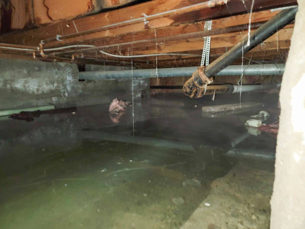 Mechanicstown, NY Water damage restoration Pros