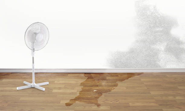 Best Water damage restoration near me  in Mechanicstown, NY