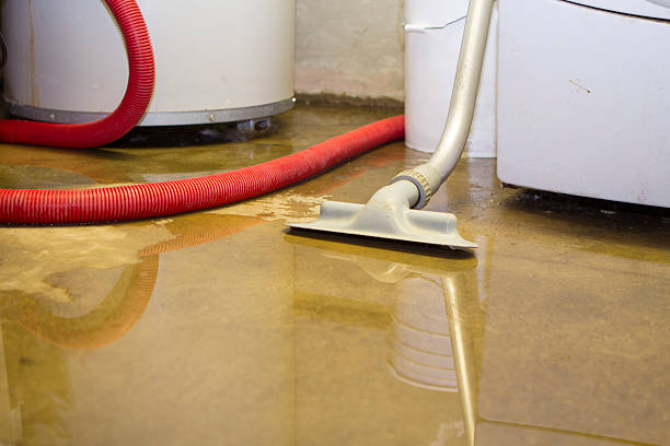 Best Flooded house restoration  in Mechanicstown, NY