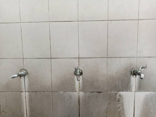Best Flood restoration services  in Mechanicstown, NY